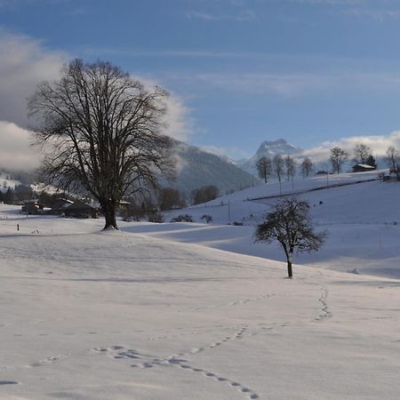 Ruhe Pur Daire Aeschi Bei Spiez Dış mekan fotoğraf