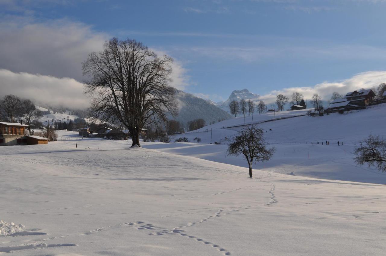 Ruhe Pur Daire Aeschi Bei Spiez Dış mekan fotoğraf